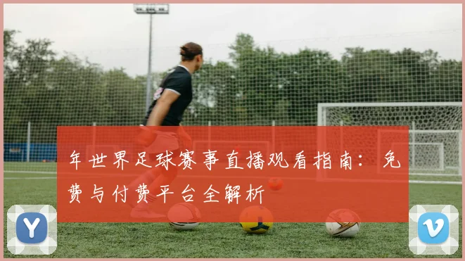 年世界足球赛事直播观看指南：免费与付费平台全解析