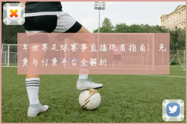 年世界足球赛事直播观看指南:免费与付费平台全解析