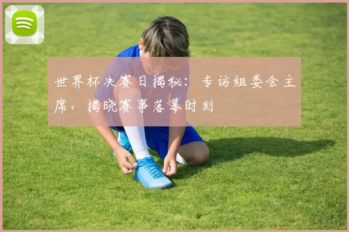 世界杯决赛日揭秘：专访组委会主席，揭晓赛事落幕时刻