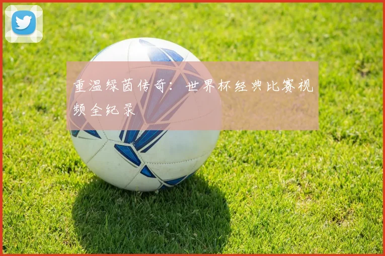 重温绿茵传奇:世界杯经典比赛视频全纪录